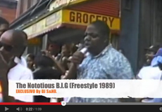 The Notorious B.I.G (Freestyle 1989)